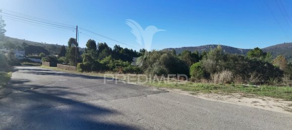 Grundstück in Minde, Portugal 3200m², Nr. 76107 4