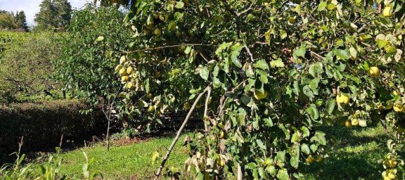 Grundstück in Rems-Murr-Kreis, Germany, Nr. 307662 6