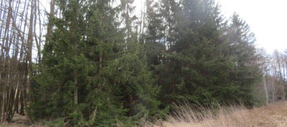 Terreno en Vitis, Austria 20534 m² No. 163947 4