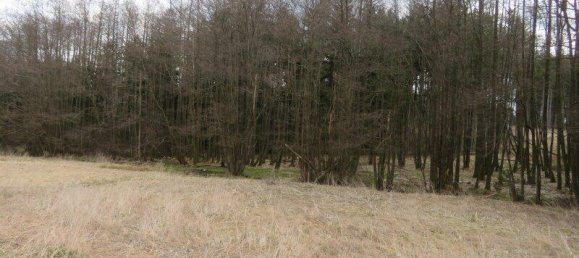 Terreno en Vitis, Austria 20534 m² No. 163947 5