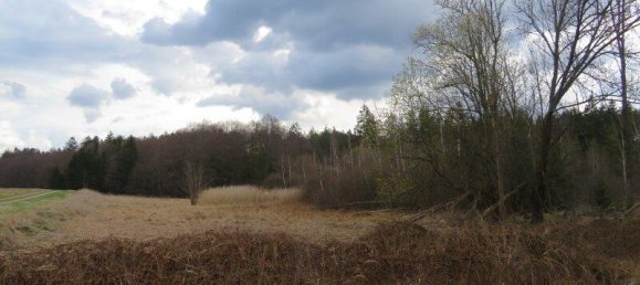 Terreno en Vitis, Austria 20534 m² No. 163947 8