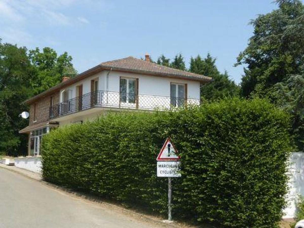 Casa de 11 dormitorios en Mably, France No. 32408