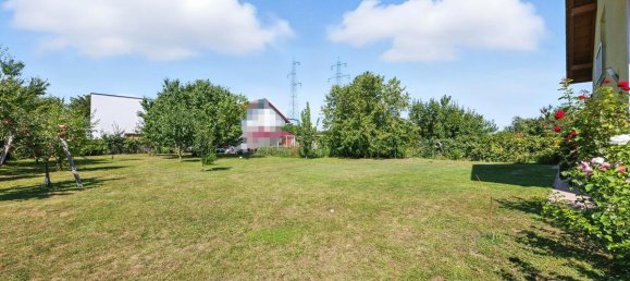 6 rooms House in Bisamberg, Austria No. 240208 16