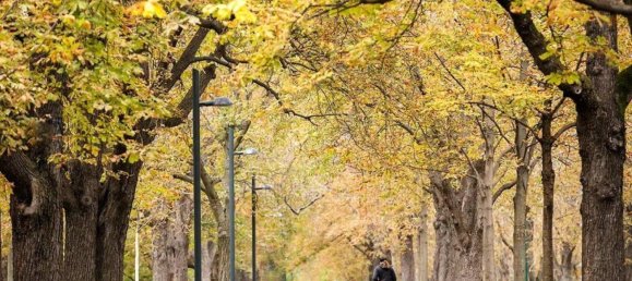 3غرفة بانتهاوس في Vienna, Austria رقم 159451 43