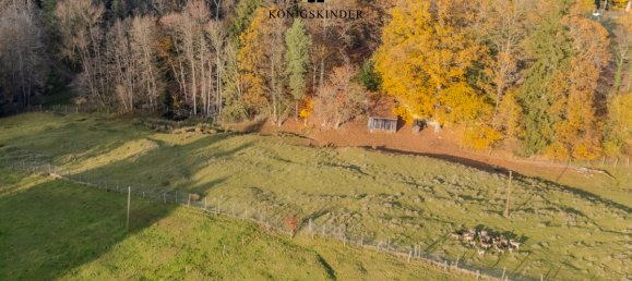 12 rooms Townhouse in Ostalbkreis, Germany No. 297729 37