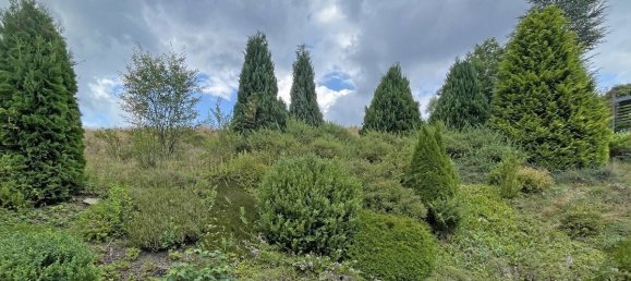 5 chambres Maison de ville à Kronach, Germany No. 261683 8