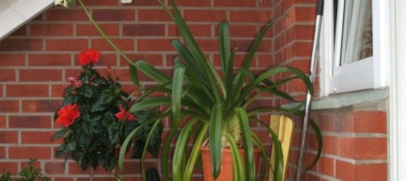 3 Schlafzimmer Doppelhaus in Unna, Germany, Nr. 147021 8