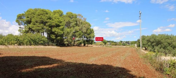 6500m² Land in Martina Franca, Italy No. 157572 5