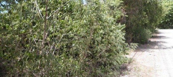 Gewerbliche Immobilie in Hua Hin, Thailand, Nr. 6838 2