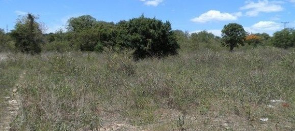 Gewerbliche Immobilie in Hua Hin, Thailand, Nr. 6838 3