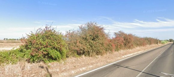  قطعة أرض في Benavente, Portugal 70936متر مربع رقم 122939 8