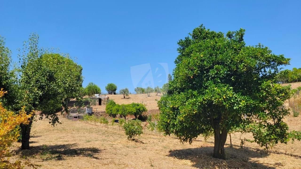 Grundstück in Proenca a Nova, Portugal, Nr. 232445