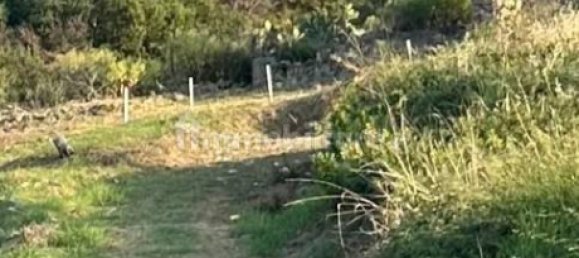 900m² Land in Calatabiano, Italy No. 251588 6