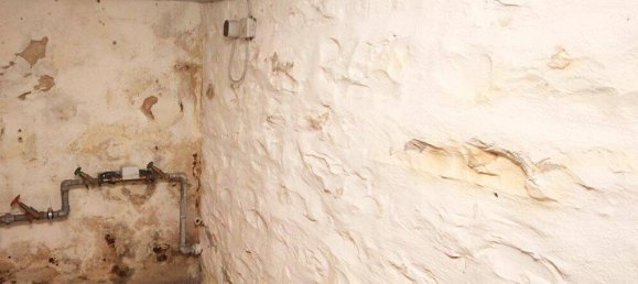 3 bedrooms House in Neustadt an der Waldnaab, Germany No. 324097 22