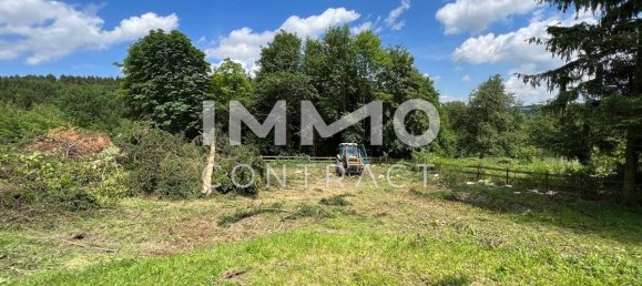 Земельный участок в Бухкирхен, Австрия № 9224 2