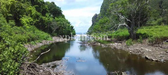 Земельный участок 27370м² в Западная Нуса-Тенгара, Индонезия № 4112 6