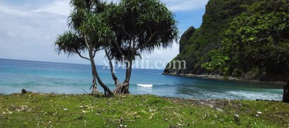 Земельный участок 27370м² в Западная Нуса-Тенгара, Индонезия № 4112 3