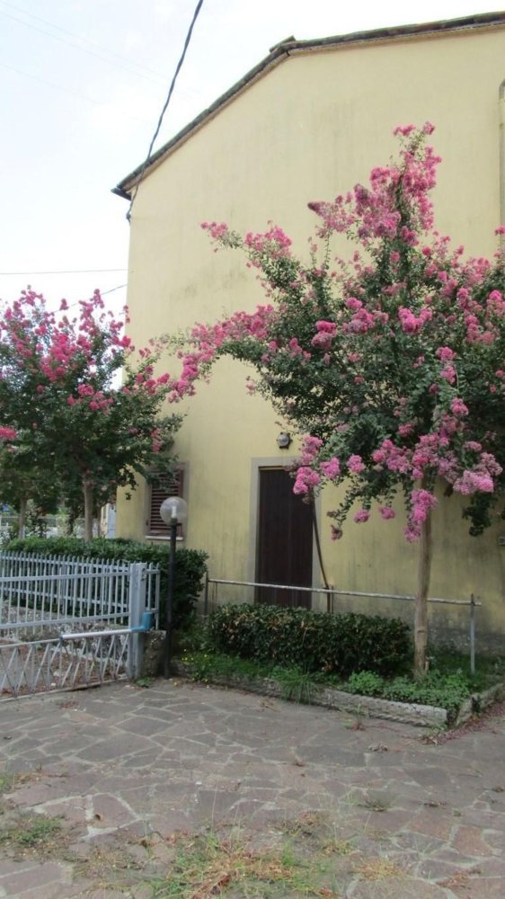 11 rooms House in Capannori, Italy No. 174970