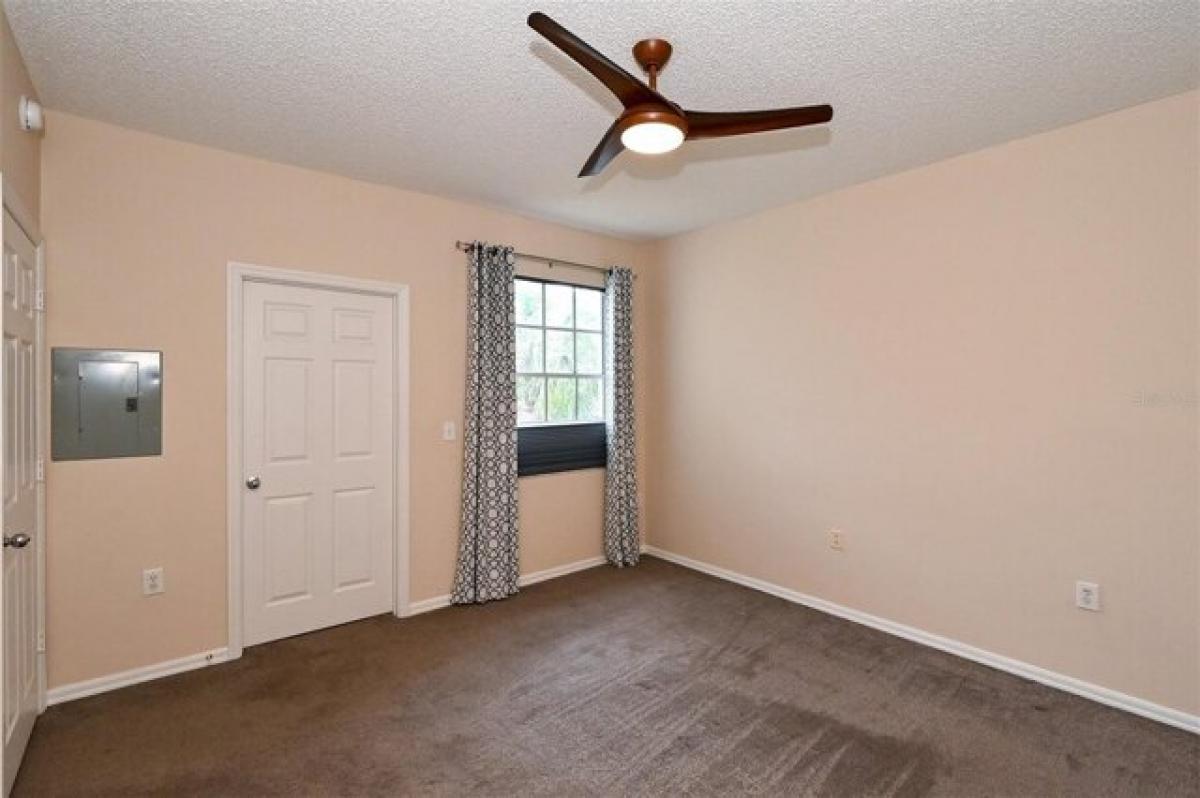 Studio in Sarasota, USA, Nr. 441717