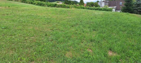  قطعة أرض في Markt Hartmannsdorf, Austria رقم 128723 3