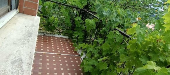 11 rooms Villa in Aulla, Italy No. 152306 15