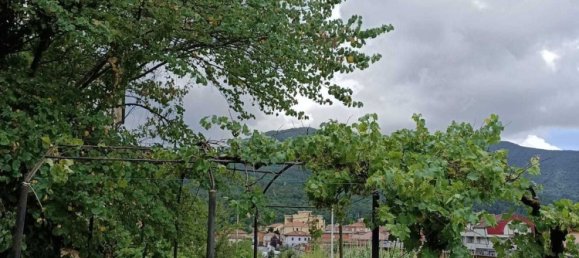 11 rooms Villa in Aulla, Italy No. 152306 14