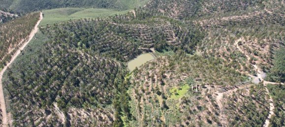 Grundstück in Silves, Portugal 150m², Nr. 132632 13