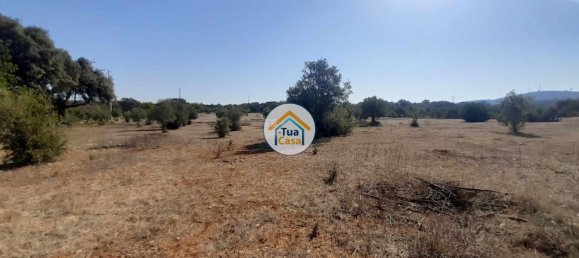 26000m² Land in Faro, Portugal No. 76225 11