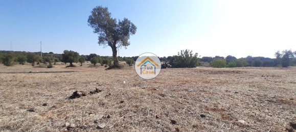 26000m² Land in Faro, Portugal No. 76225 12
