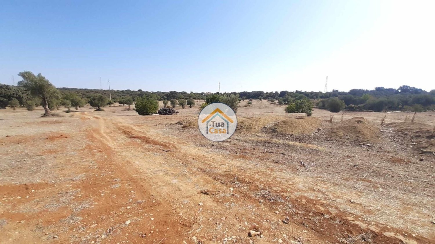 26000m² Land in Faro, Portugal No. 76225