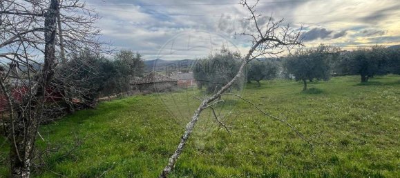 3 bedrooms House in Sao Pedro de Sarracenos, Portugal No. 173078 3