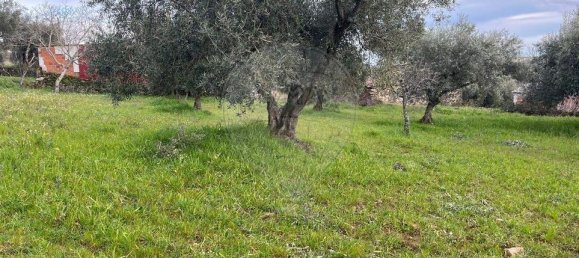 3 bedrooms House in Sao Pedro de Sarracenos, Portugal No. 173078 2