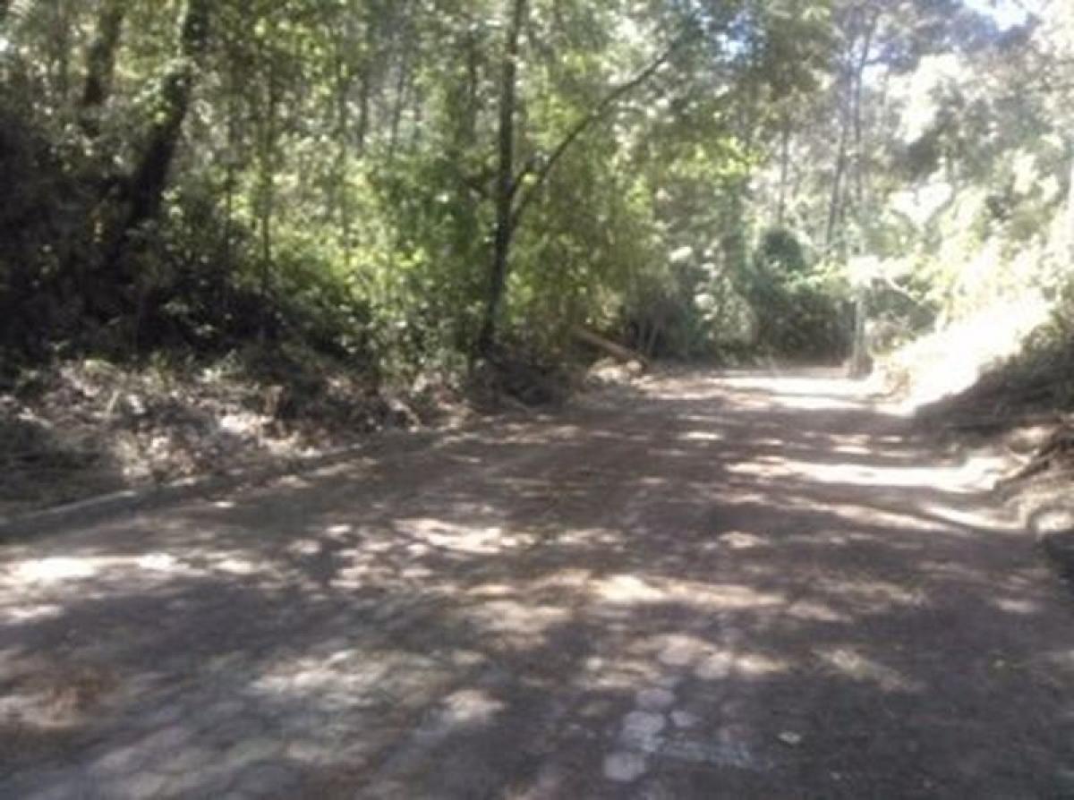 Terreno en Heroica Matamoros, Mexico No. 204907