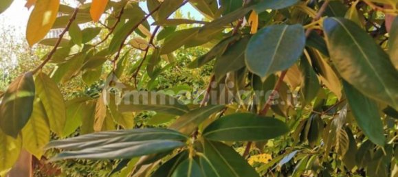 Вилла с 2 спальнями в Поджибонси, Италия № 226351 9