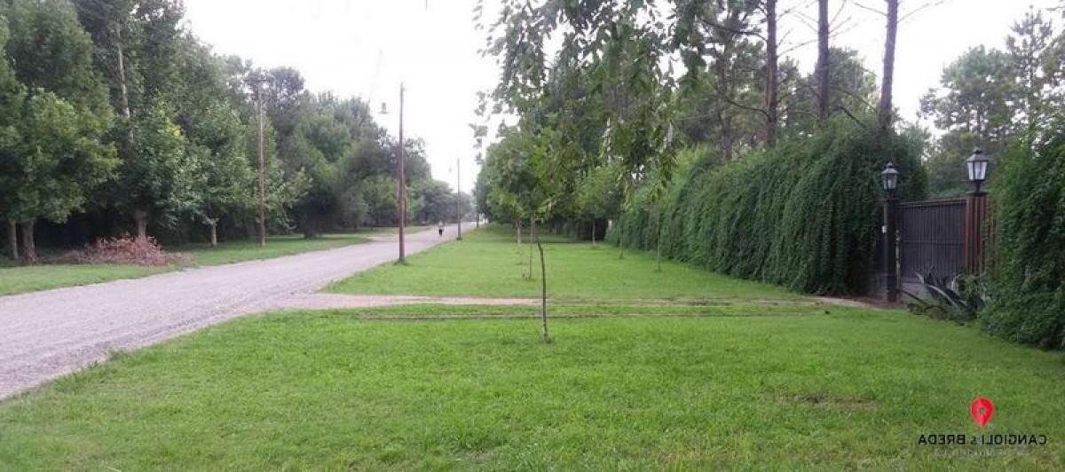 Terrain à Cordoba, Argentina No. 39006