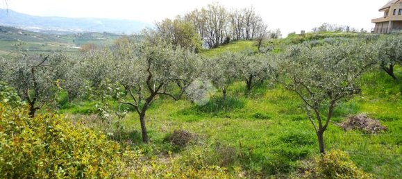 30000m² Land in Montecorvino Pugliano, Italy No. 232913 8