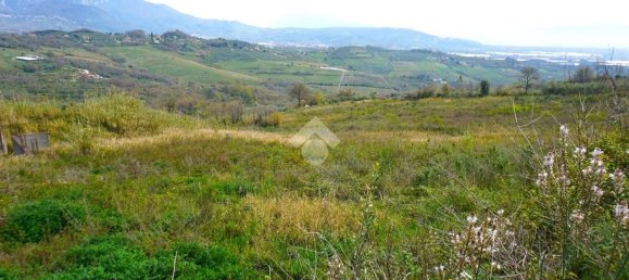 30000m² Land in Montecorvino Pugliano, Italy No. 232913 4