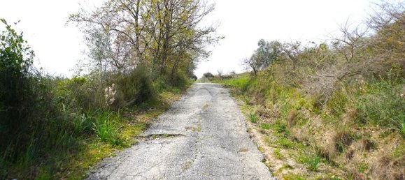 30000m² Land in Montecorvino Pugliano, Italy No. 232913 3
