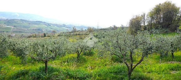 30000m² Land in Montecorvino Pugliano, Italy No. 232913 11