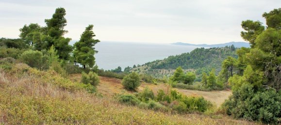 55000m² Hotel in Chalkidiki, Greece No. 5574 8