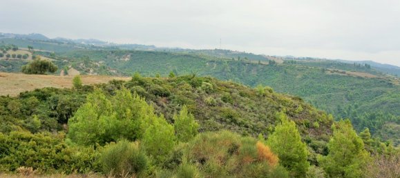 55000m² Hotel in Chalkidiki, Greece No. 5574 5