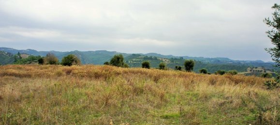 55000m² Hotel in Chalkidiki, Greece No. 5574 7