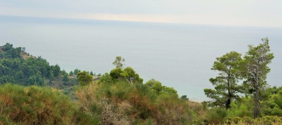 55000m² Hotel in Chalkidiki, Greece No. 5574 4