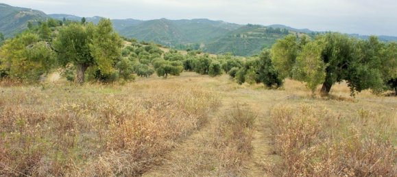 55000m² Hotel in Chalkidiki, Greece No. 5574 10