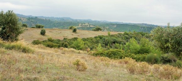 55000m² Hotel in Chalkidiki, Greece No. 5574 6