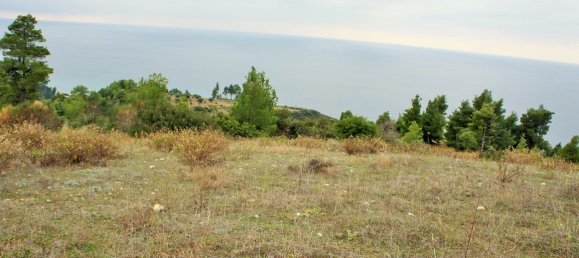 55000m² Hotel in Chalkidiki, Greece No. 5574 2