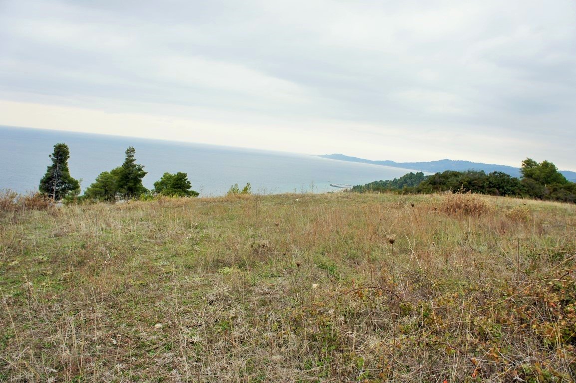 55000m² hôtel à vendre à Chalkidiki, Central Macedonia, Macedonia and Thrace, Greece № 5574