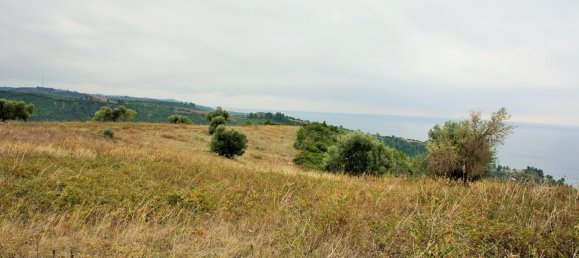 55000m² Hotel in Chalkidiki, Greece No. 5574 9