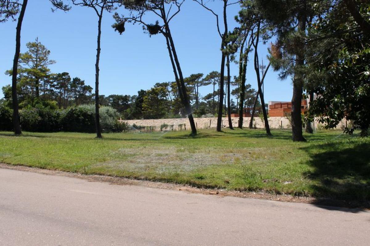  Land in Maldonado, Uruguay No. 15270