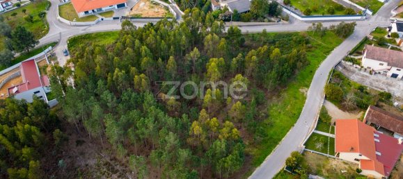 2105m² Land in Leiria, Portugal No. 90356 18